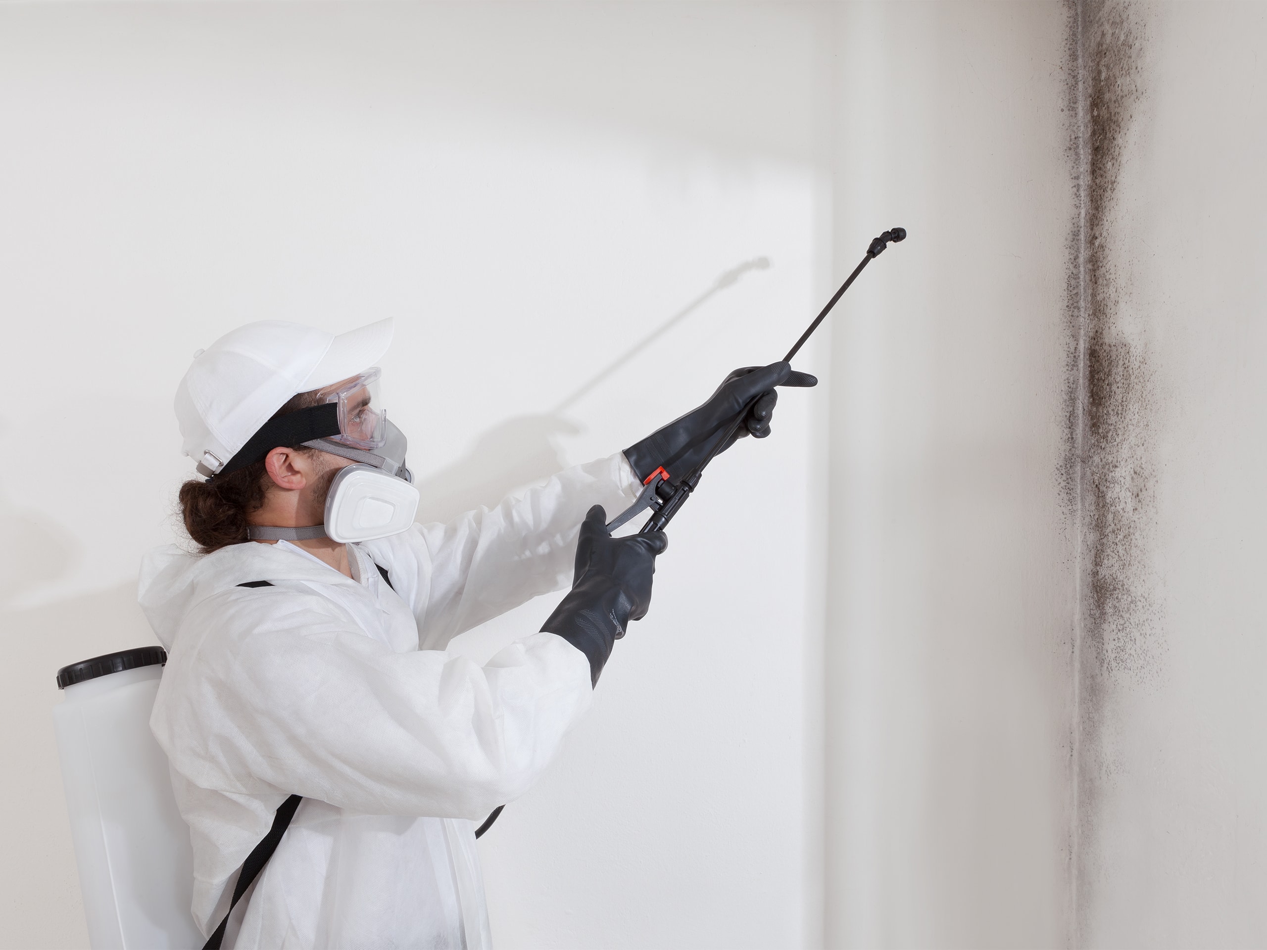 Mold Remediation service 1