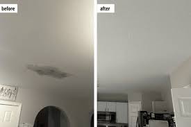 Mold Remediation service 4